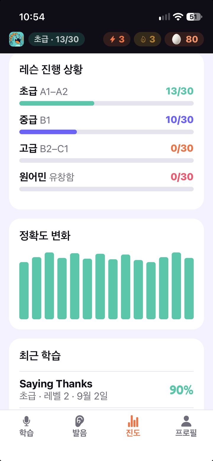 진도 — 정확도 변화와 최근 학습
